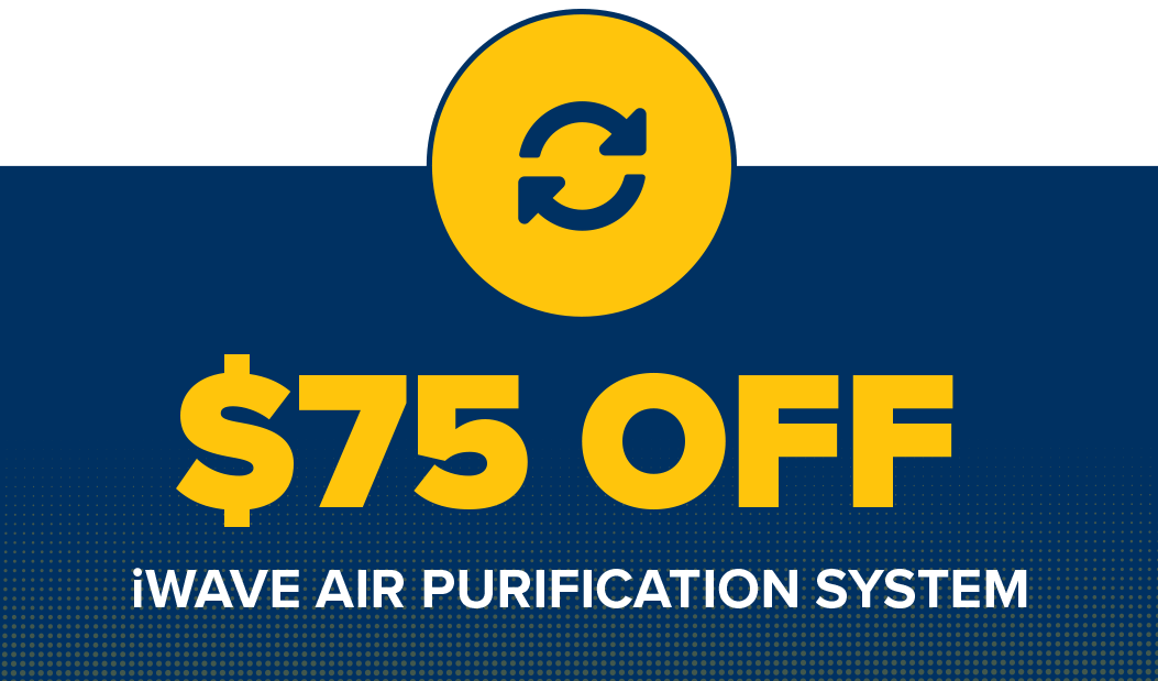 $75 OFF iWave Air Purification System