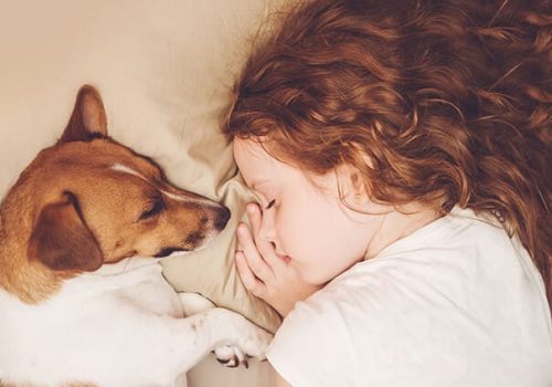 Girl And Dog Sleeping